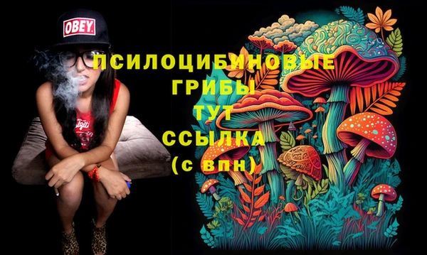 экстази Краснослободск