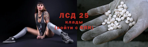 индика Краснотурьинск