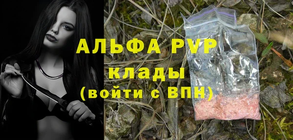 индика Краснотурьинск