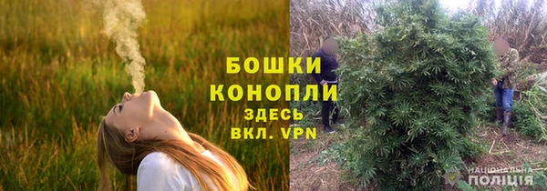 индика Краснотурьинск