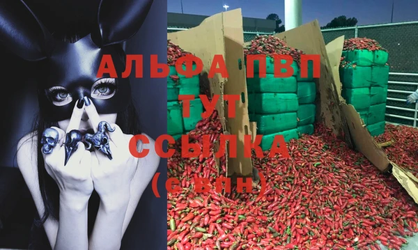 герыч Куйбышев