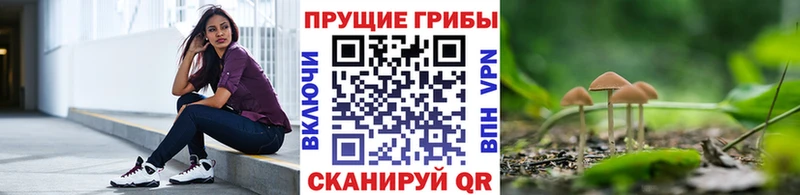 где найти   Оленегорск  Галлюциногенные грибы прущие грибы 