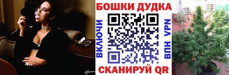 Канабис сатива  как найти   Оленегорск 